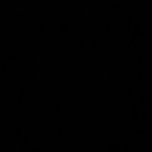 Meet your Posher, Alexus